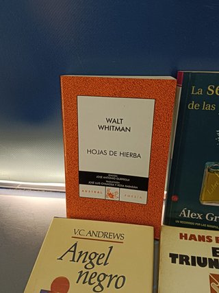 6 Libros, novelas, ANGEL NEGRO, EL TRIUNFADOR, LA GUERRA DEL FIN DEL MUNDO, EL CLUB DUMAS  y mas