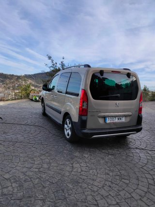 Peugeot e-Partner 2010
