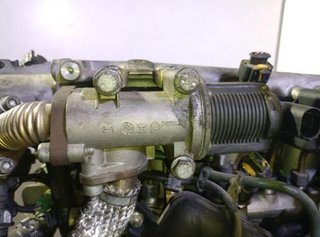 Rectp5724403 188a7000 motor fiat punto (188_) 1.9