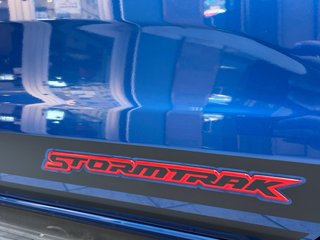 Ford Ranger 2022 2.0 TDCi 213CV Stormtrak 4X4 Auto
