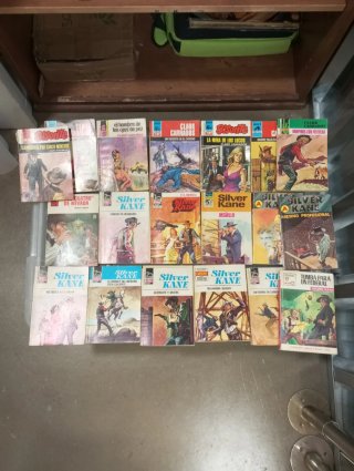 Novelas del oeste