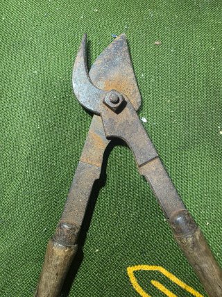 Herramienta de jardin: arado,azada,hacha,tijeras