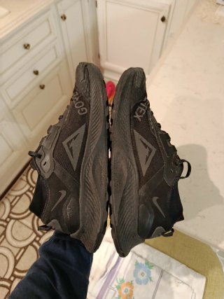 Nike Pegasus Trail Gore-Tex GTX Nero