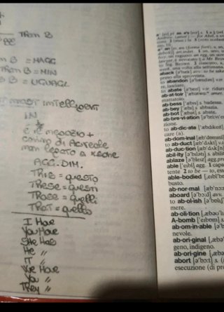 2 dizionari (francese + inglese)