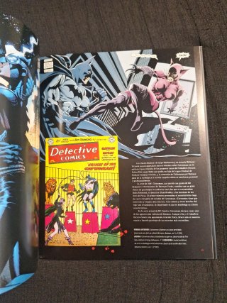 DC Comics Supervillanos. La guía visual completa