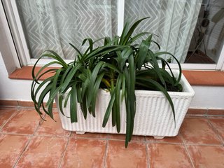 Jardinera de piedra blanca