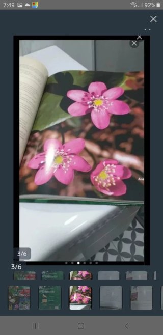 EL GRAN LIBRO DE LA JARDINERIA .
