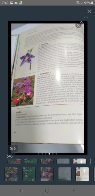 EL GRAN LIBRO DE LA JARDINERIA .
