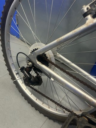 Bicicleta de Montaña Plata