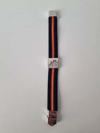 Pulsera con Toro y Cierre