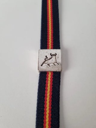 Pulsera con Toro y Cierre