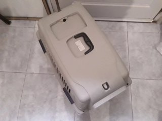 Transportín para mascotas