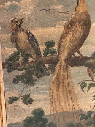 Cuadro antiguo aves óleo sobre lienzo