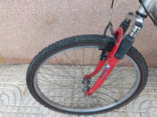 Bicicleta Montaña Plata