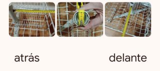 Bandeja superior para lavavajillas