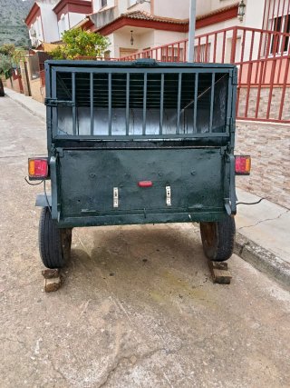 Se vende o cambia remolque verde