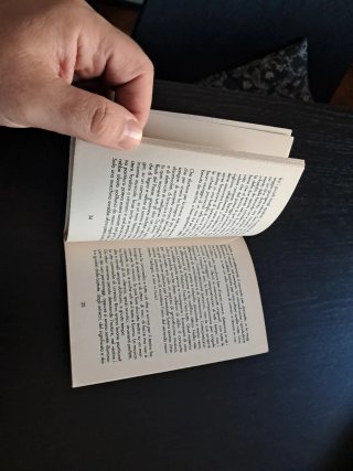 Ivano fossati - Il giullare