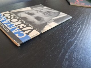 Marco Molendini - Caetano Veloso