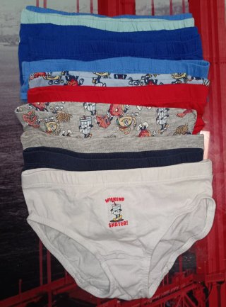 Calzoncillos 27 uds talla 5/6 años