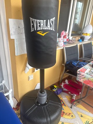 Saco de pie Everlast