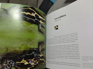 Colección grandes civilizaciones y reino animal