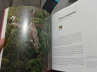 Colección grandes civilizaciones y reino animal