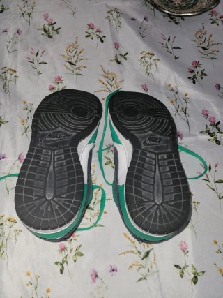 Nike Dunk Verdes y Blancas