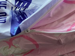 Funda nórdica Frozen 90