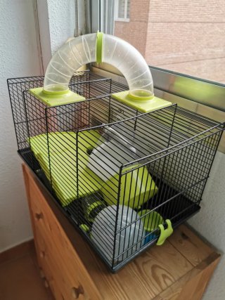 Jaula para hámster con túnel NO HAGO ENVIO