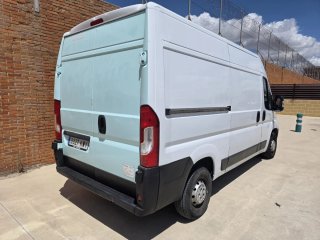 FIAT Ducato 2019