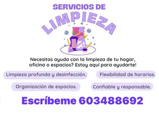 Se ofrece servicio de limpieza en general