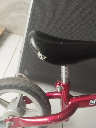 Bicicleta de equilibrio Chicco Red Bullet