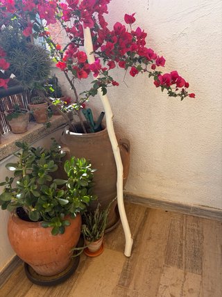 Perchero Rama Árbol