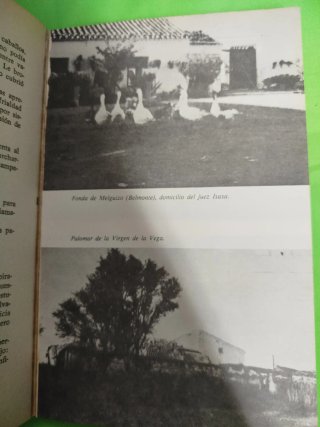 Libro crimen cuenca antiguo vintage historia
