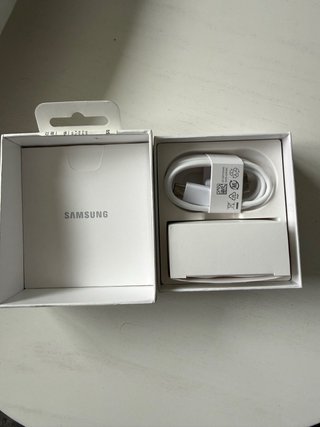 Samsung Galaxy Buds+ Plata/Blanco