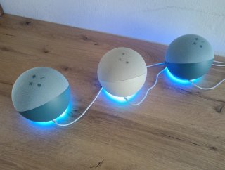 Amazon Alexa Echo XL premium