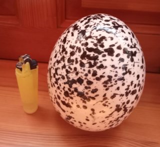 Huevo de Pascua decorado
