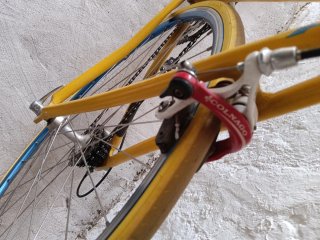 Bicicleta BH Carretera Fixed Amarilla