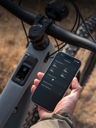 Amflow PR Carbon Pro 2026 (Nueva)