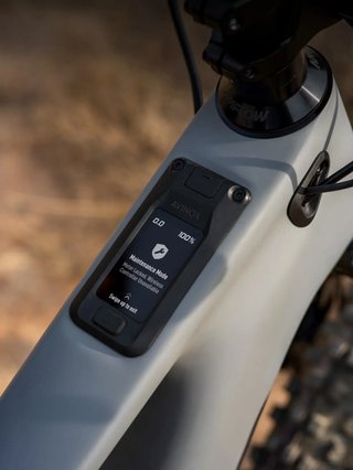 Amflow PR Carbon Pro 2026 (Nueva)