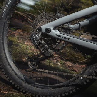 Amflow PR Carbon Pro 2026 (Nueva)