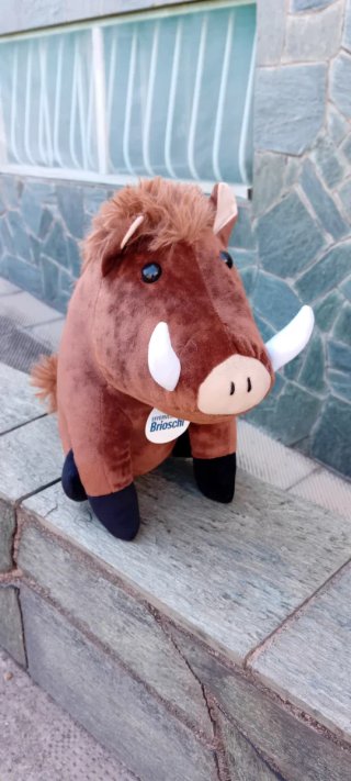 Cinghiale Brioschi Peluche Promozionale