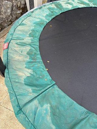 Cama elástica Berg 240