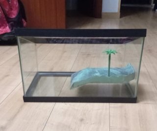 Tortuguera cristal con palmera