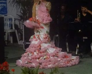 Bata de cola flamenca