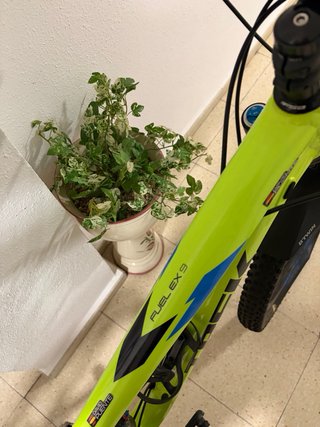 Bicicleta Montagna Trek Ruota 29