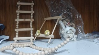 Juguetes y accesorios jaula pájaros