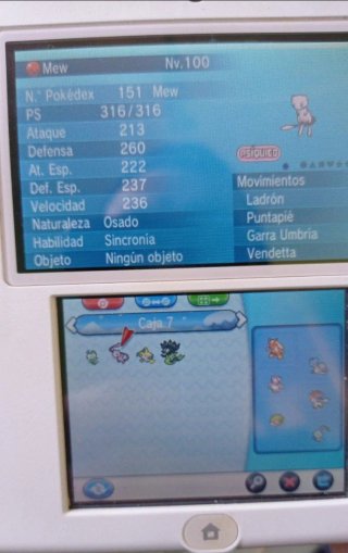 Pokémon Y 3ds completo original