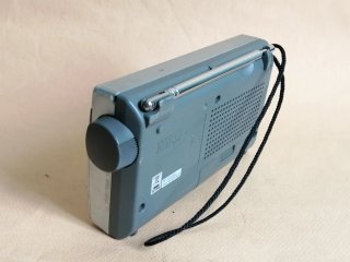Radio Sony ICF-M260 FM/AM Gris
