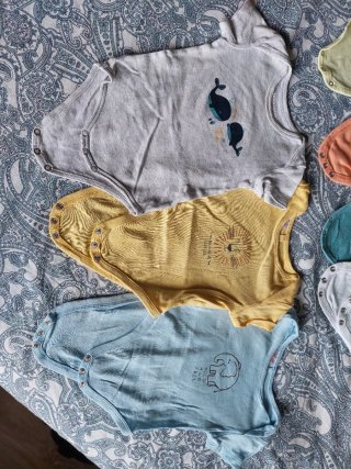 11 bodies bebé manga corta 6- 9 meses (74cm)